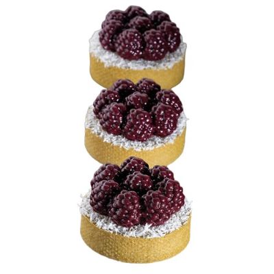 Pavoni TOP Mini Raven (Blackberry) Professional Silicon Mould