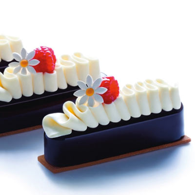 Pavoni Pastel Pavoflex Professional Silicon Mould by Antonio Bachour