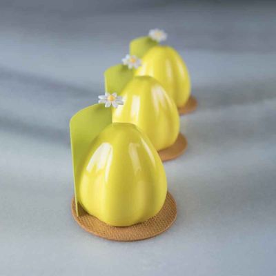 Pavoni Lotus Professional Silicon Mould by Antonio Bachour