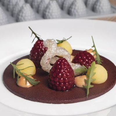 Pavoni Berry Gourmand Professional Silicon Mould