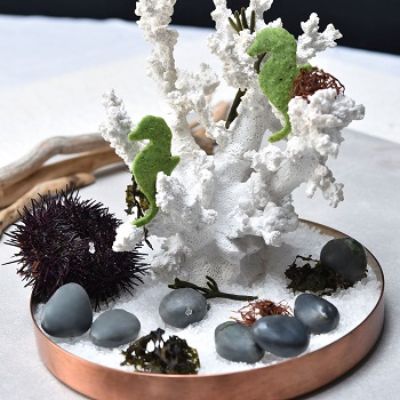 Pavoni Gourmand Stone Professional Silicon Mould