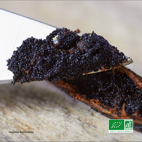 Bourbon Madagascar Vanilla Pods Premium "Single Estate" 14-18Cm 10 pods